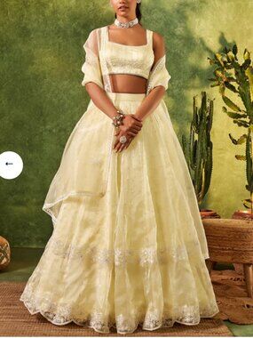 Lashkaraa Soft Lime Embroidered Organza Lehenga